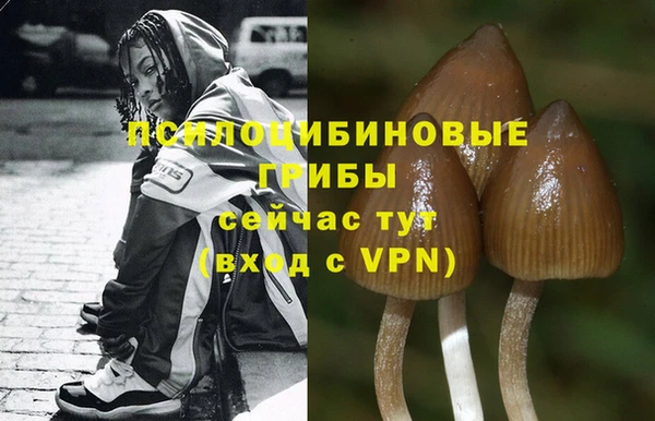 кокаин колумбия Каменногорск