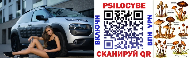 Галлюциногенные грибы Psilocybine cubensis Купить закладки Ершов